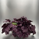 Weekaanbod foto 1