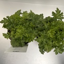 Weekaanbod foto 2